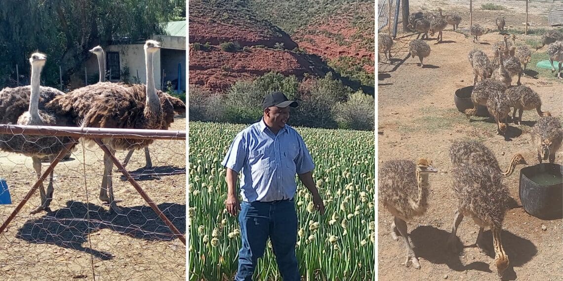 Jolian du Preez is a farmworker turned farmer. While he's journey towards commercialisation has seen many highs,there have been lows as well. Photo: Supplied/FoodForMzansi