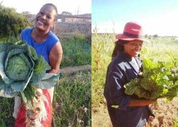 Housekeeper swaps apron for gardening boots