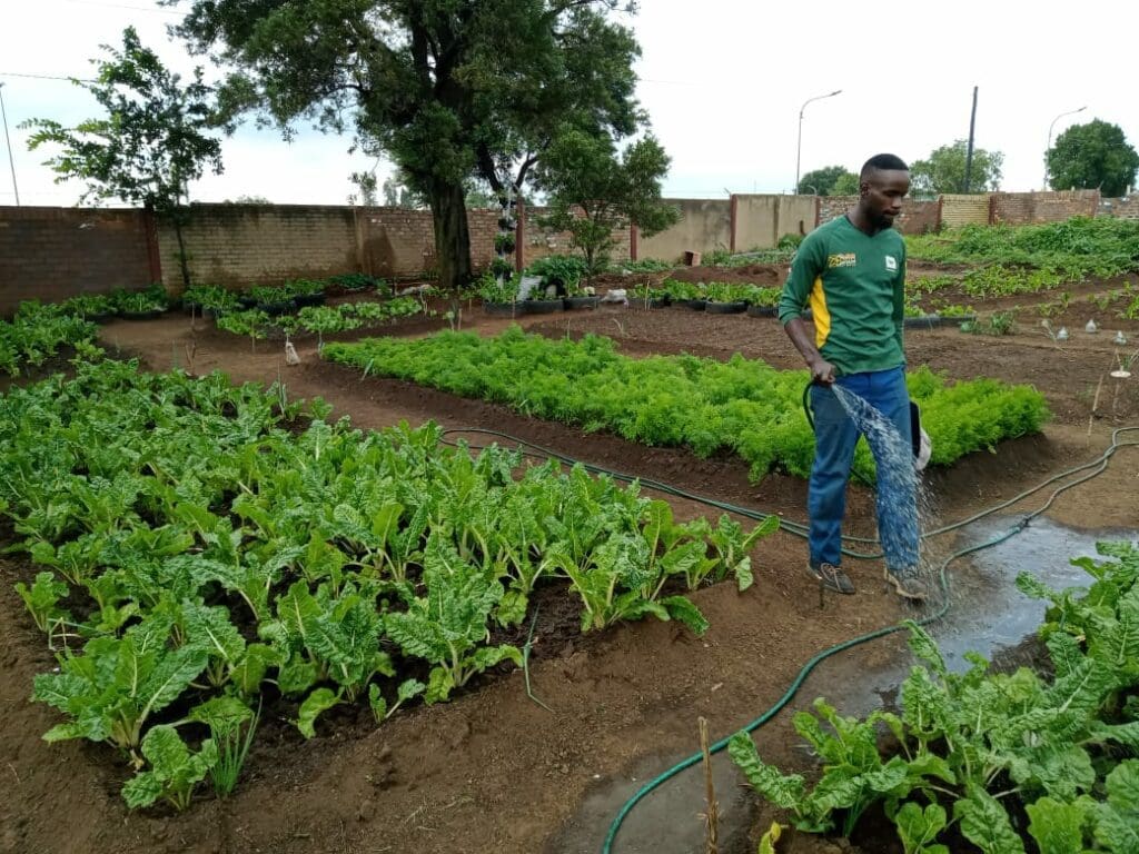 Farming helps Seboa put food on the table