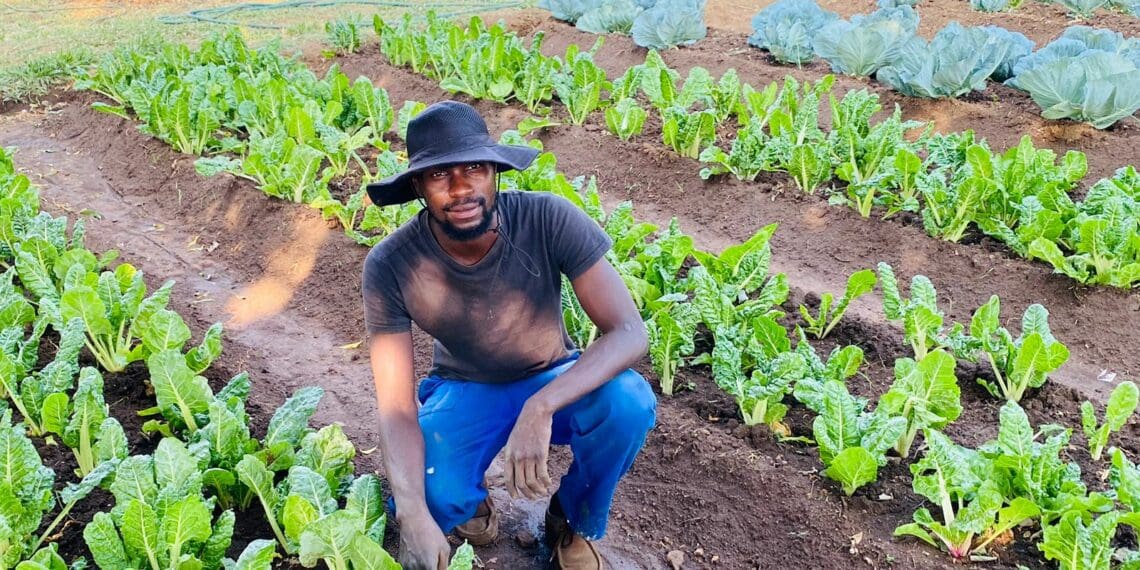 Farming helps Seboa put food on the table