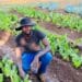 Farming helps Seboa put food on the table