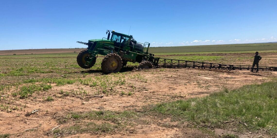 The El Niño-Southern Oscillation (ENSO) is currently in a La Niña state, and forecasts indicate that it will likely remain in this state during the remainder of 2022 and early 2023. Photo: Supplied/FSA