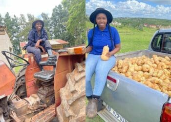 Unemployment drives Mchunu to new heights
