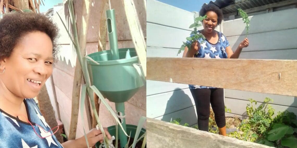 Domestic worker finds beauty in growing food