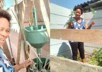 Domestic worker finds beauty in growing food
