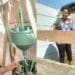 Domestic worker finds beauty in growing food