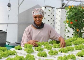 Zandile uses technology to entice young people