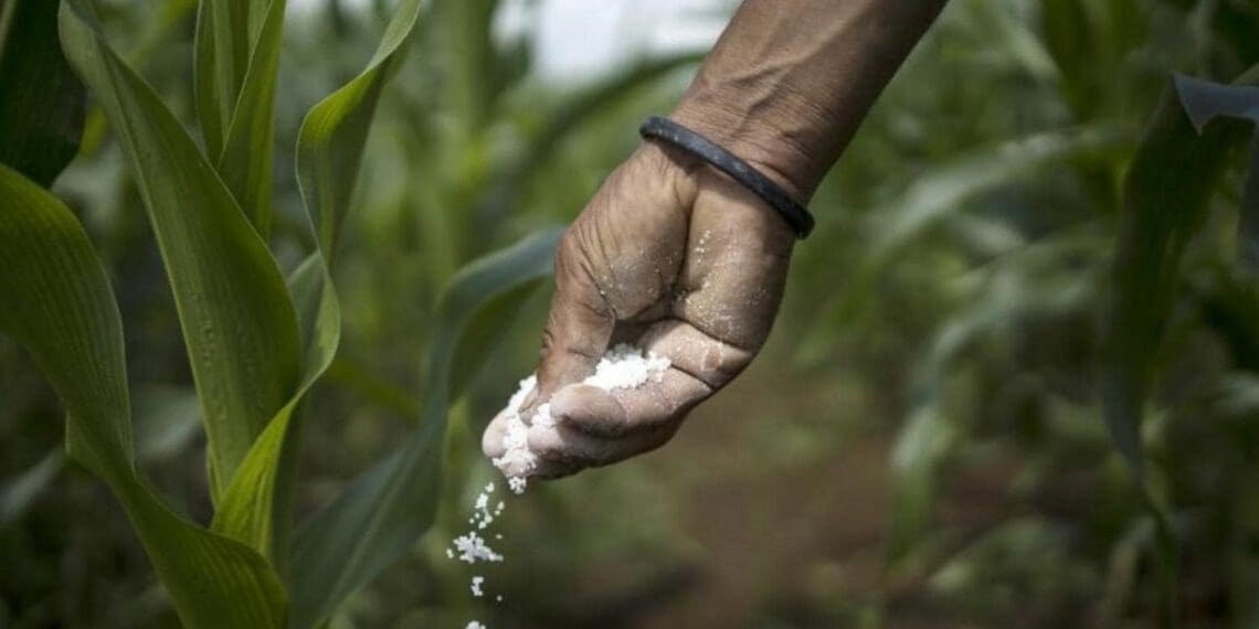 Fertiliser prices have risen nearly 30% since the start of 2022, following last year's 80%. Photo: Supplied/Food For Mzansi
