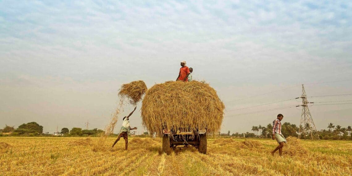 Cop27: Agricultural insurers pledge $14bn