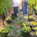 First 2023 crop estimate suggests smaller harvest. Photo: Supplied/Foodformzansi
