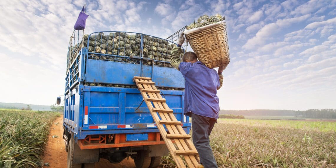 Why some agri projects don't get funded