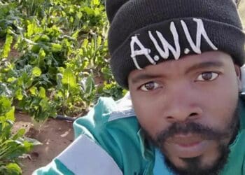 Flourishing farmer ditches the hard life