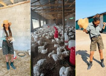 Plucky farmer Mhlanga keeps dusting herself off