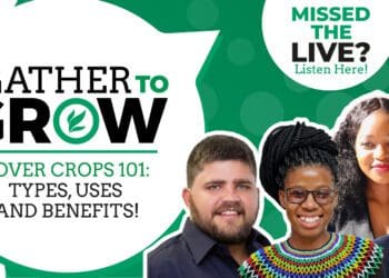 Farmer 101: Why you should use cover crops