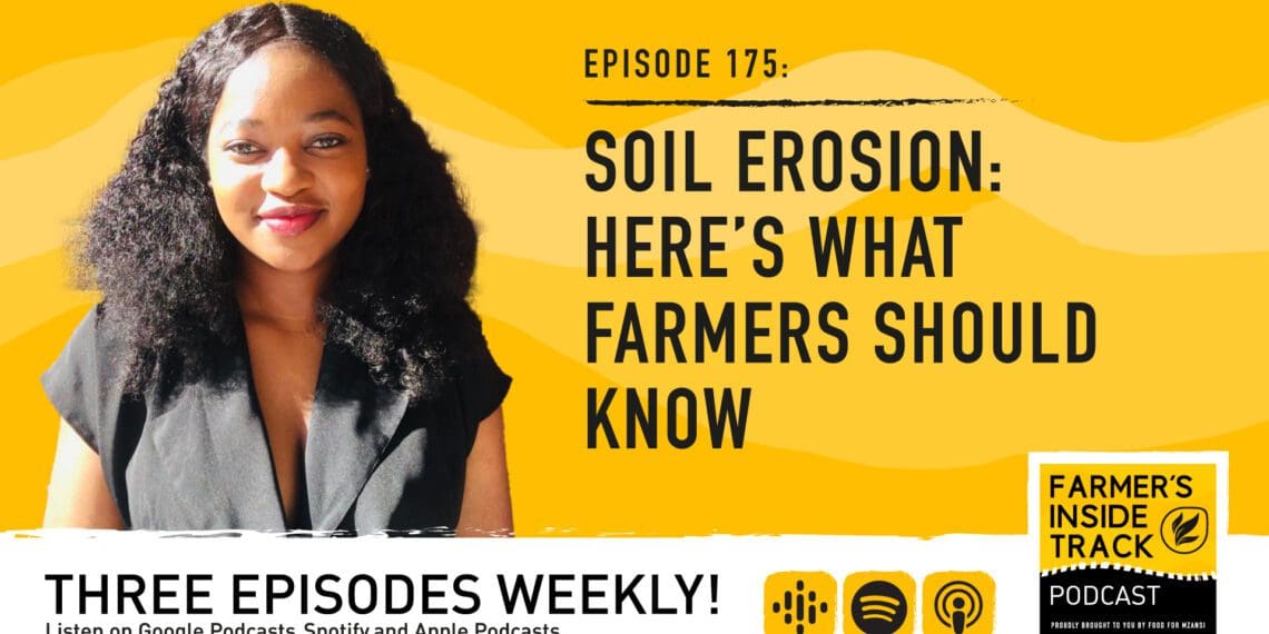 On this edition of Farmer's Inside Track, Onele Mduzulwana, an agronomist shares why maintaining healthy soil is key for Mzansi’s farmers to thrive. Photo: Food For Mzansi