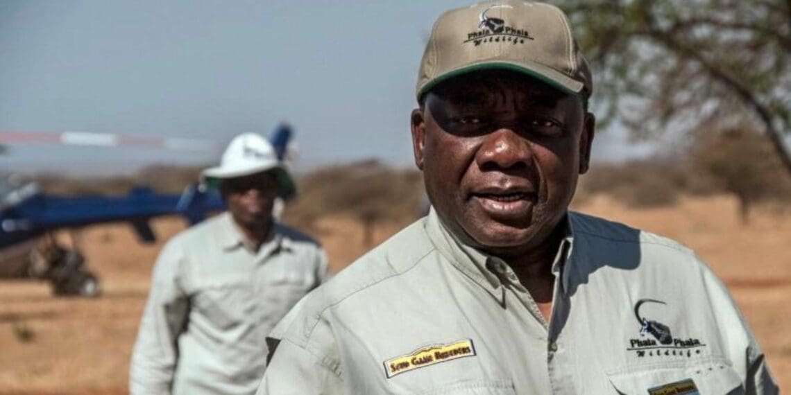 Ever since the Section 89 panel report found that President Cyril Ramaphosa may have violated the Constitution, politicians have been running around like headless chickens trying to come to terms on what should happen next. All while the country’s economic future takes a weird turn. File: Stefan Heunis/AFP]