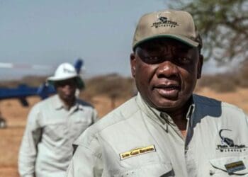 Ever since the Section 89 panel report found that President Cyril Ramaphosa may have violated the Constitution, politicians have been running around like headless chickens trying to come to terms on what should happen next. All while the country’s economic future takes a weird turn. File: Stefan Heunis/AFP]