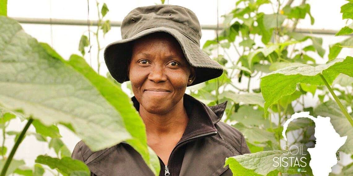 Accountant Refilwe Mokgohloa decided to join her brothers and take their family farm to the next level adding hydroponics to the mix. They now run a successful hydroponics cucumber business. Photo: Supplied/Food For Mzansi