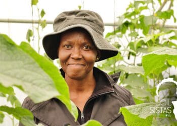 Accountant Refilwe Mokgohloa decided to join her brothers and take their family farm to the next level adding hydroponics to the mix. They now run a successful hydroponics cucumber business. Photo: Supplied/Food For Mzansi
