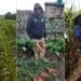 Communal land: Mpumalanga crop farmer Sphesihle Chata is intent on growing his agribusiness despite major challenges. Photo: Supplied/Food For Mzansi