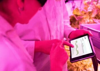 Agritech in South Africa
