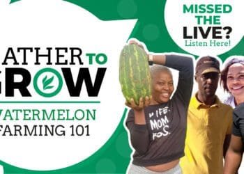 Farmer 101: How to produce watermelons