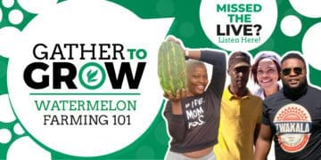 Farmer 101: How to produce watermelons