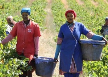 Harvesting in the heat? Tips to protect your skin
