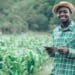 Tips for success: Farmers – as entrepreneurs – also require this characteristic to be successful businesspeople. Photo: Supplied/Food For Mzansi