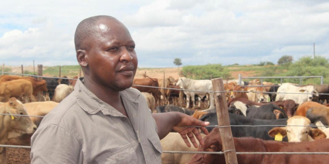 New platform to boost farmers’ income in Namibia