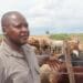 New platform to boost farmers’ income in Namibia