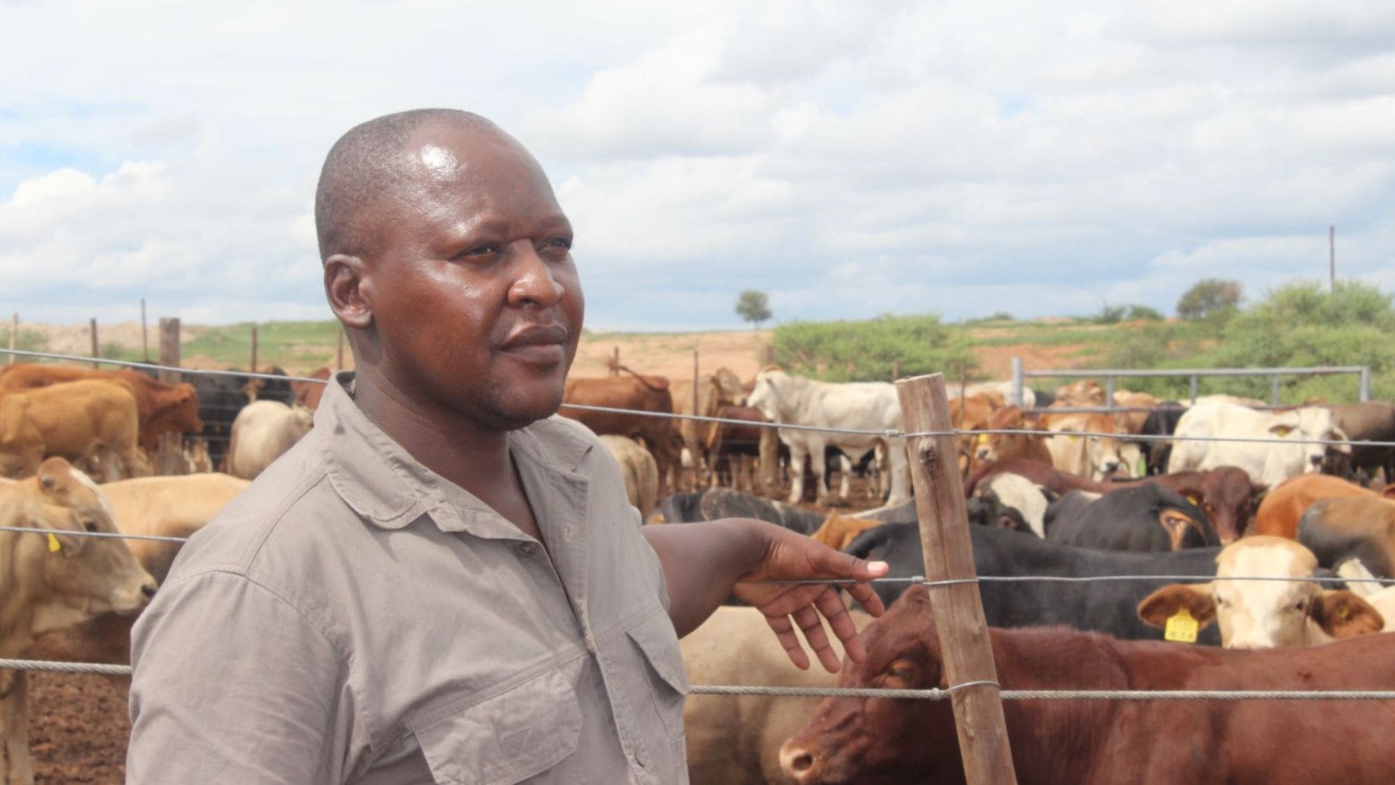 New platform to boost farmers' income in Namibia - Vimarsana News