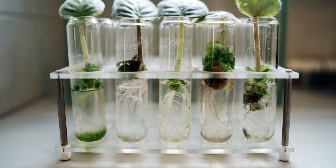 Understanding Biotechnology