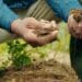 A key intervention that is delivering on soil health and ultimately changing livelihoods in this climate reality is regenerative agriculture. Photo; Supplied/Food For Mzansi
