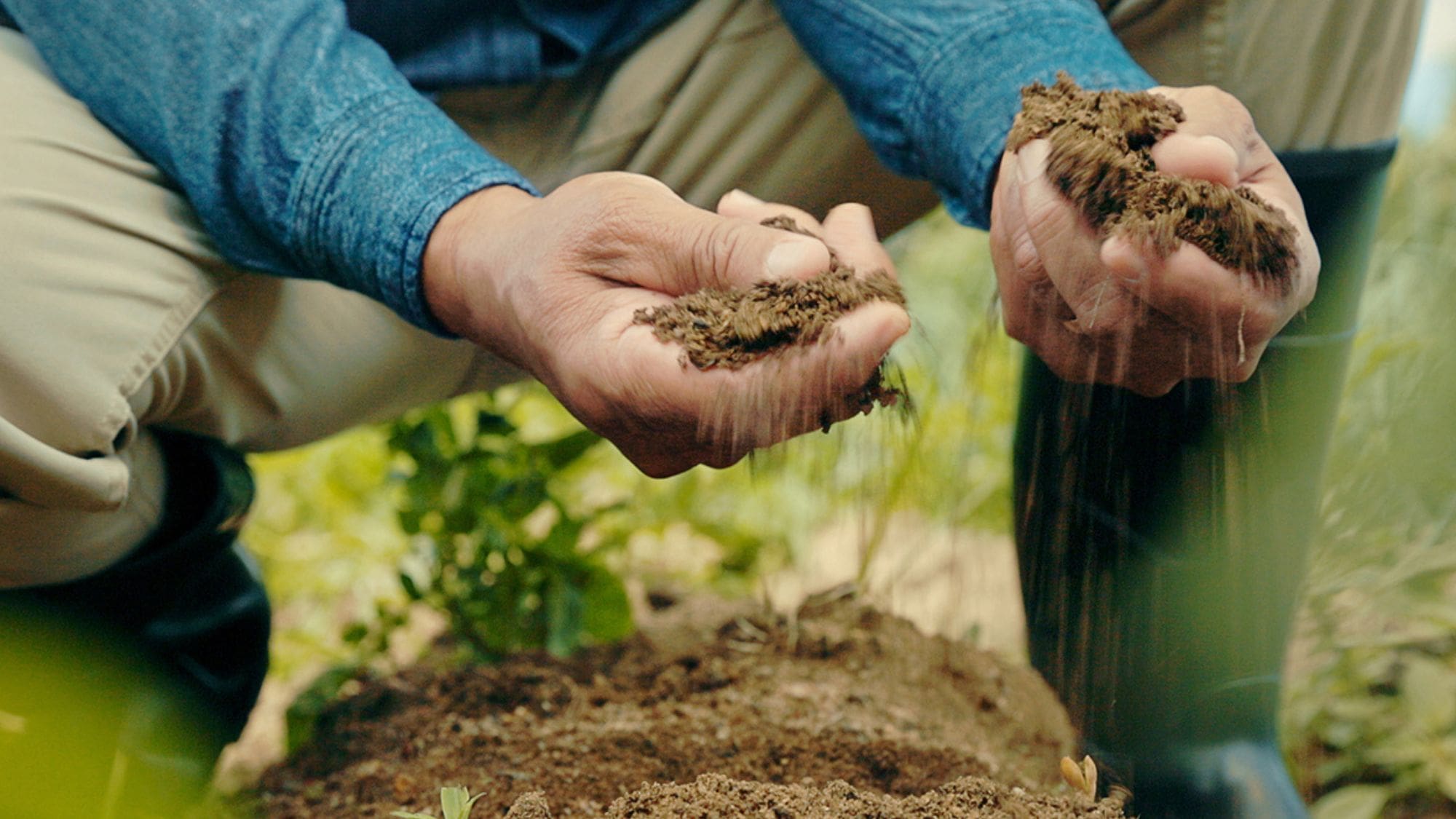 Soil health at the heart of regenerative agriculture - Food For Mzansi