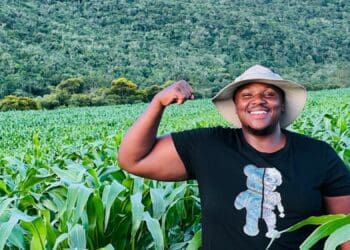 From taxi driver to farmer: Siphosihle did it!