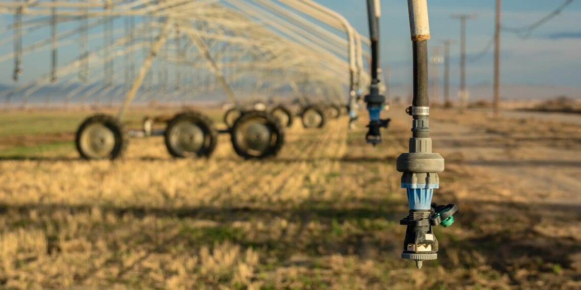 How farmers can prepare as El Niño looms large