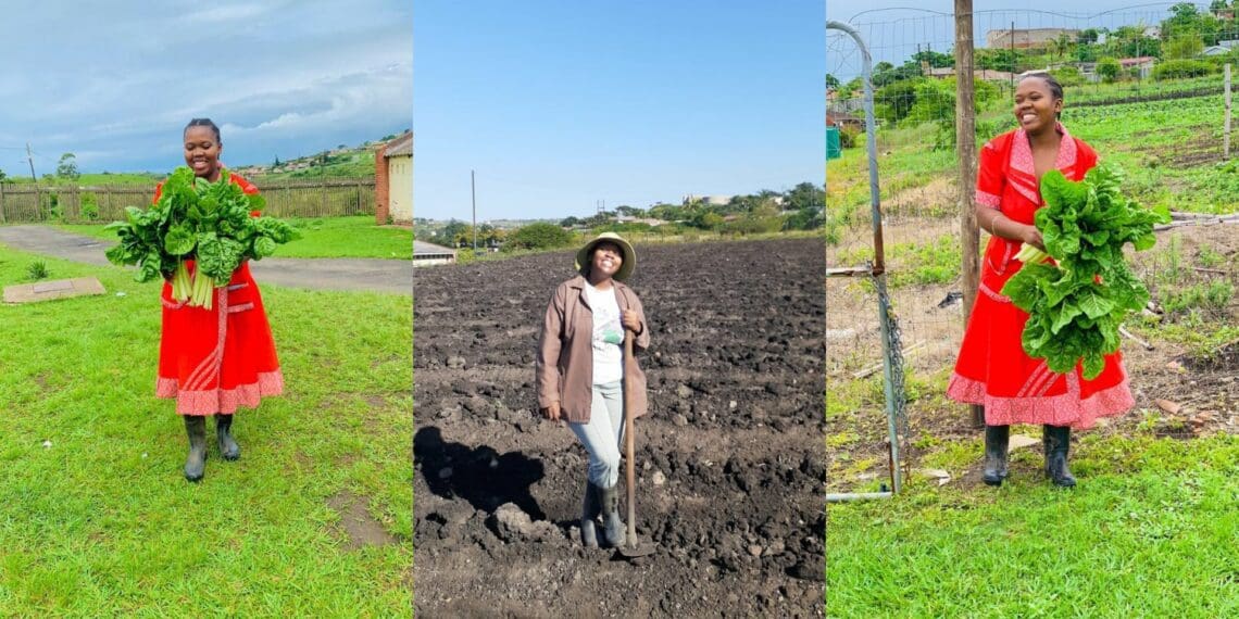'Growing crops is my therapy', says KZN farmer