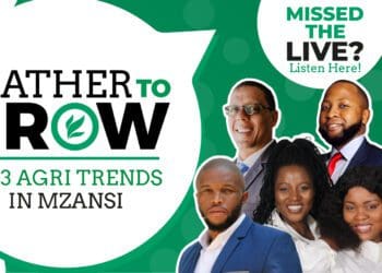 Farmer 101: Moving towards a brighter 2023