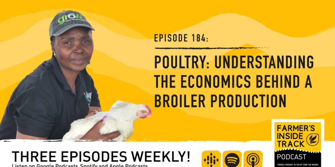 Tinyiko Khoza, a Centurion poultry farmer, gives insight into poultry farming on this episode of Farmer's Inside Track. Photo: Food For Mzansi