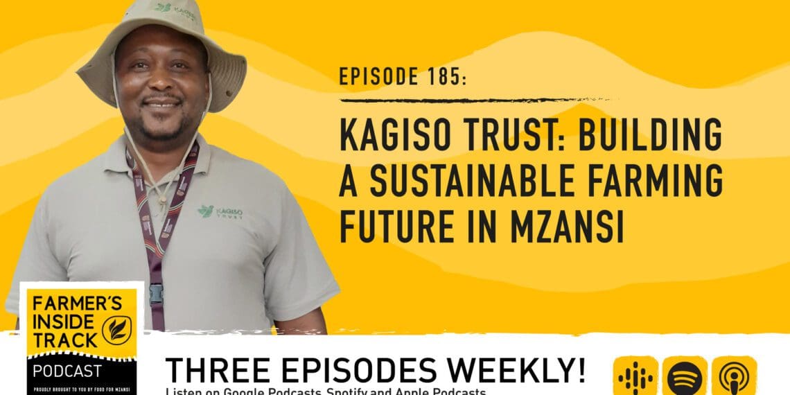 Tebogo Mokgoadi, a poultry farmer and the director of socioeconomic development at the Kagiso Trust, one of South Africa's leading development organisations, discusses how they support farmers. Photo: Food For Mzansi