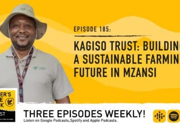 Tebogo Mokgoadi, a poultry farmer and the director of socioeconomic development at the Kagiso Trust, one of South Africa's leading development organisations, discusses how they support farmers. Photo: Food For Mzansi