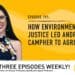 Podcast: Tips to grow beetroot in Mzansi