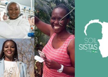 #SoilSista programme: 3 reasons to apply now!