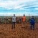 Northern Cape Riverfresh Crop Primary Co-Op has received a leg-up from Droogfontein Solar Power to shift their focus from crop farming to livestock. Pictured are Tuelo Sabela, Moeti Mamapula, Ethusang Molema. Photo: Supplied/Food For Mzansi