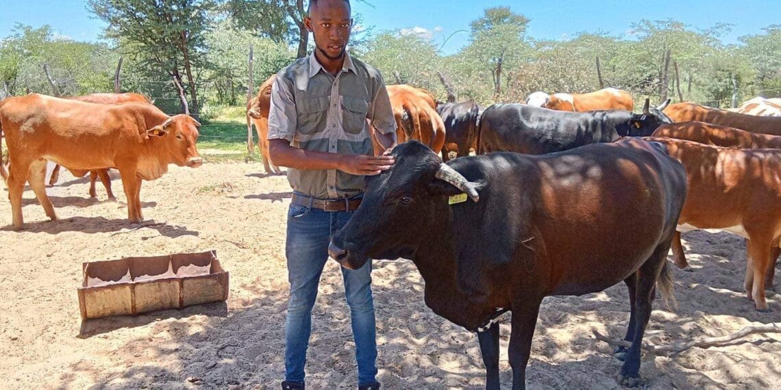 Livestock farmer Khanyisile Plaatjie believes that he has got what it takes to conquer the agricultural space in North West. Photo: Supplied/Food For Mzansi