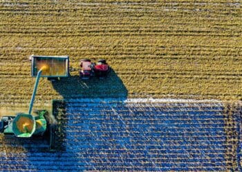Understanding the essentials of cover crops