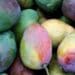 How to make the most of growing mangoes