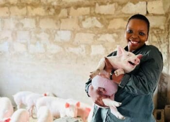 Siphelele Siyaya froom KwaZulu-Natal loves farming but she loves pigs even more. Photo: Supplied/Siphelele Siyaya