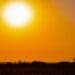Too damn hot: What to expect as global climate crisis heats up